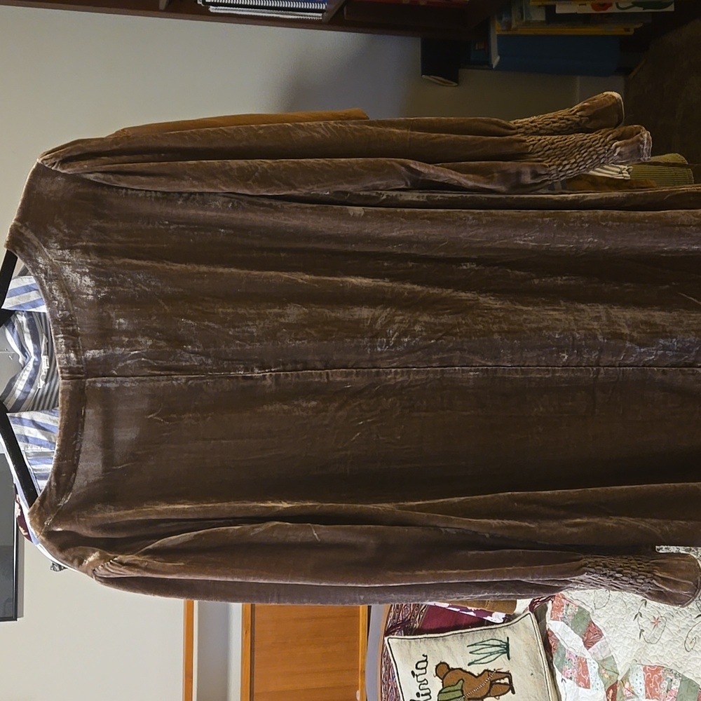 NWT Dear John Velvet Dress - Picture 4 of 4